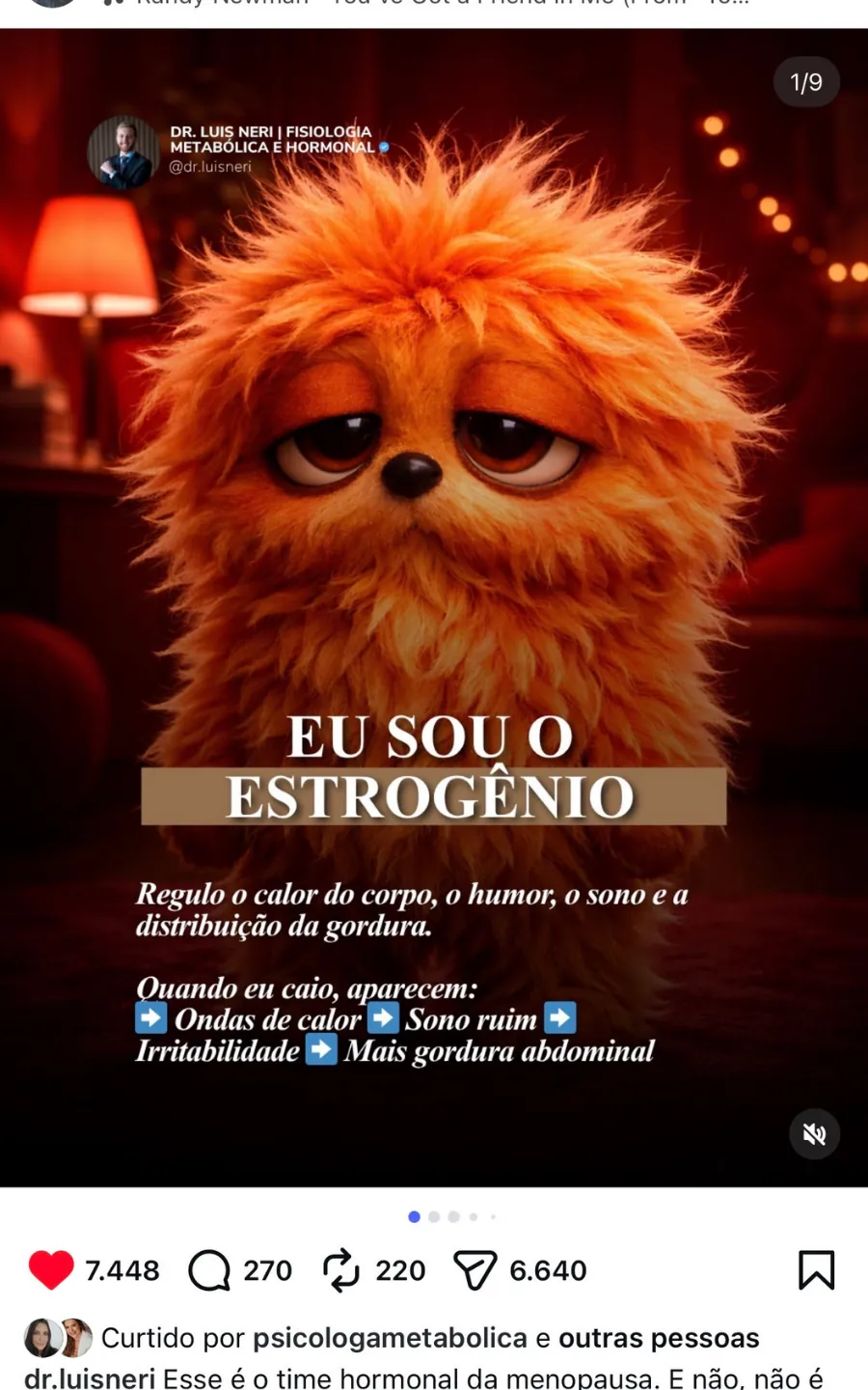 conteúdo
